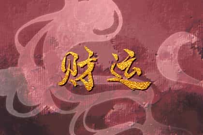 属猪的和属虎的合不合，猪和虎的配对合不合