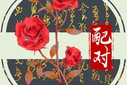 属虎的人和属鼠的人合财吗，鼠虎合作的注意事项