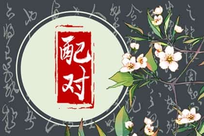 男女都属虎婚姻相配吗，男女属虎的婚姻观如何