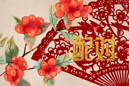 生肖猪和生肖羊做夫妻好吗，属猪和属羊婚姻是否相配
