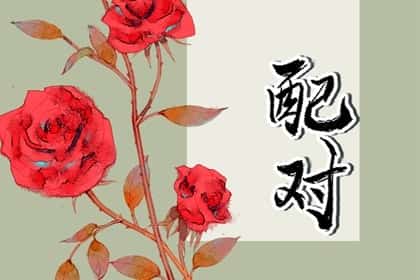 属虎的和哪些属相相配，属虎不同出生月份的婚配表