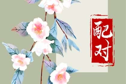 属猴跟属虎的婚配怎么样，属猴和属虎相配吗