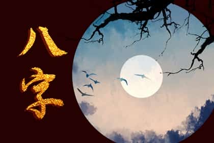 鸡和猪合不合，属鸡和属猪婚配是不是吉日