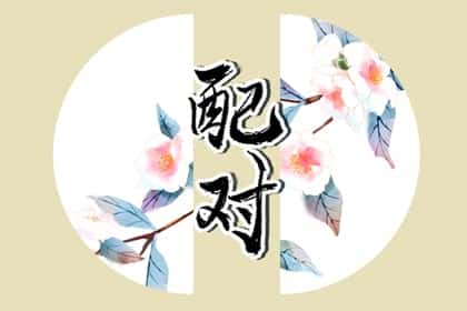 属蛇和属兔的相配吗，属蛇和属兔的人结婚是不是吉日