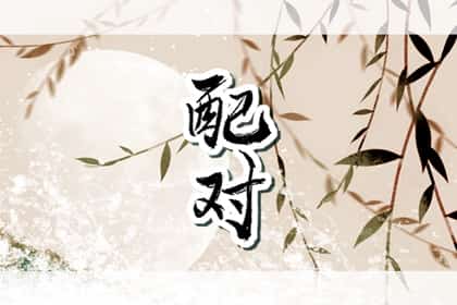 蛇和鸡在一起谁旺谁，鸡和蛇的属相合不合