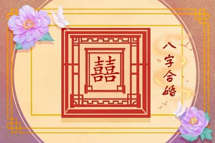 鸡跟鼠合不合，属相鸡与属相鼠的相处之道
