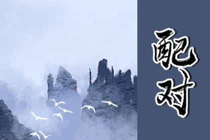 属鼠的和属虎的合不合，属虎女和属鼠男的婚姻怎么样