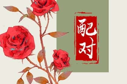 95年猪和98虎八字合不合，95年属猪和98年属虎是什么命