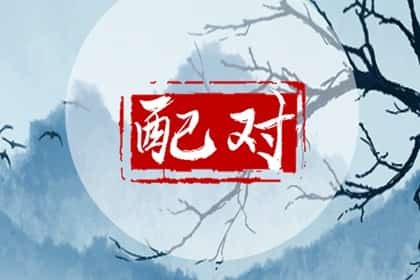 鸡配鸡的婚姻是不是吉日，生肖鸡和生肖鸡相配吗