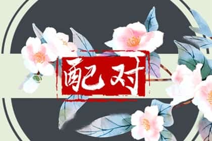 属猴和属龙的合不合，龙和猴的婚配怎么样