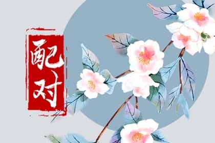 羊和兔子属相合不合，属羊和属兔的婚姻合不合