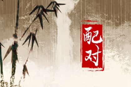 青睐网