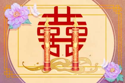 青睐网