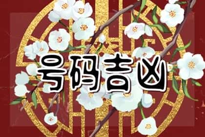 青睐网