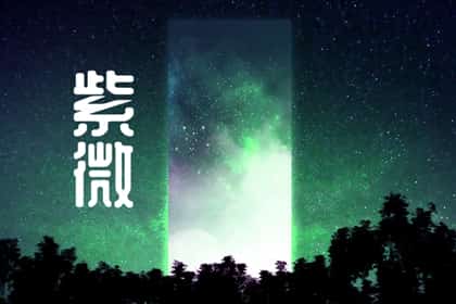 青睐网