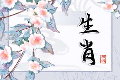 青睐网