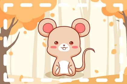 青睐网