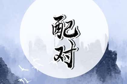 青睐网