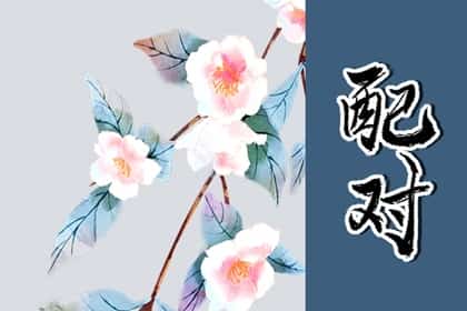 女命流年伤官见官伤夫吗 女性主柔顺女主内以顺为主，女命流年伤官见官会怎么样