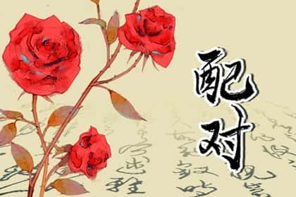 1988年的兔和什么属相合适，88年兔和88年龙婚配