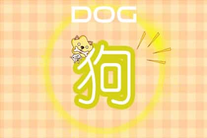 属蛇人婚姻与命运，属蛇的婚姻与命运如何