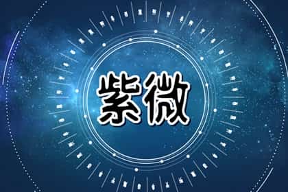 紫微天相在夫妻宫配偶漂亮，紫薇天相在夫妻宫丙午