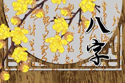 青睐网