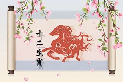 青睐网