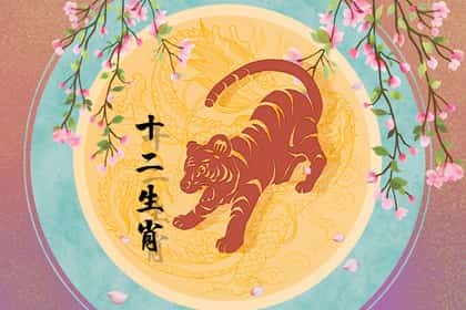 青睐网