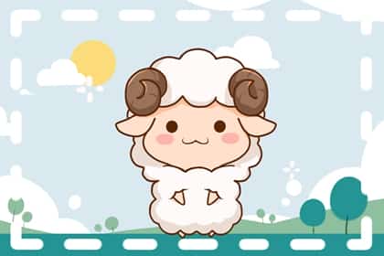 青睐网
