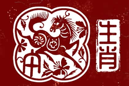 青睐网