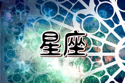 青睐网