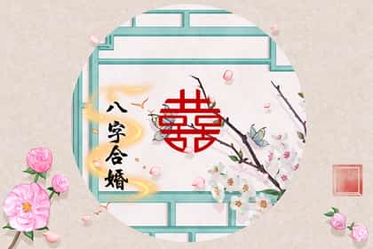 青睐网