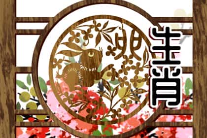 青睐网