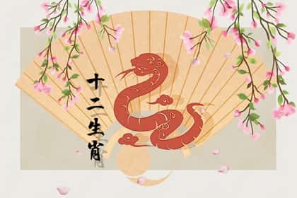 2001年属蛇的男生，2001年属蛇男孩最佳配偶