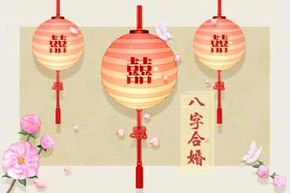 青睐网