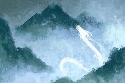 青睐网