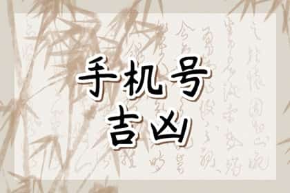 青睐网