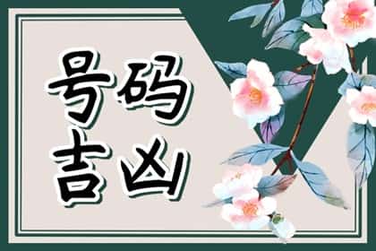 青睐网