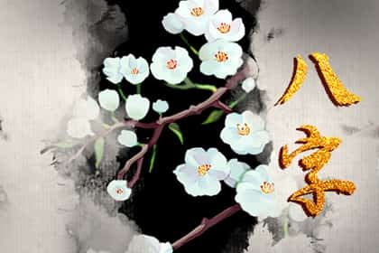 八字过硬的女人命苦，八字硬的女人能娶吗