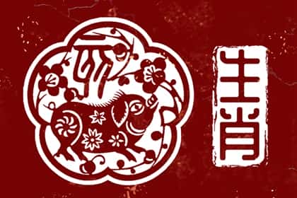 青睐网