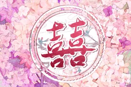 青睐网