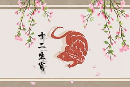 青睐网