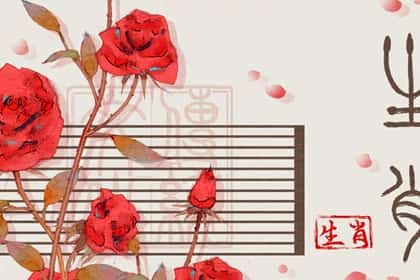 2021年遇见，2020遇见