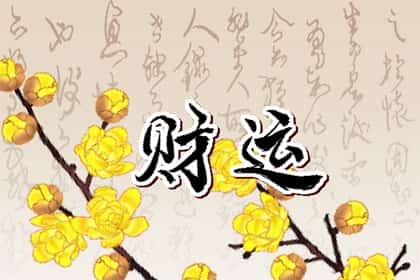 青睐网