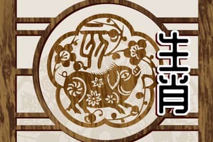 青睐网