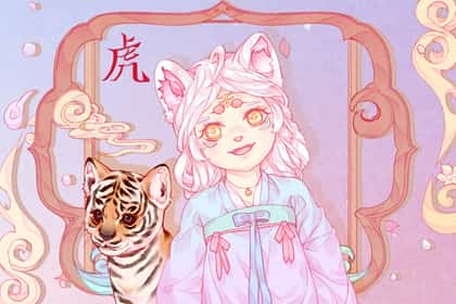 青睐网