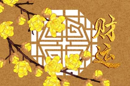 青睐网