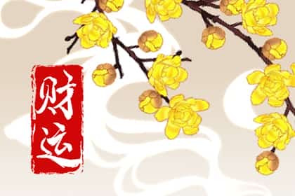 青睐网