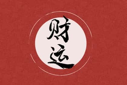 青睐网